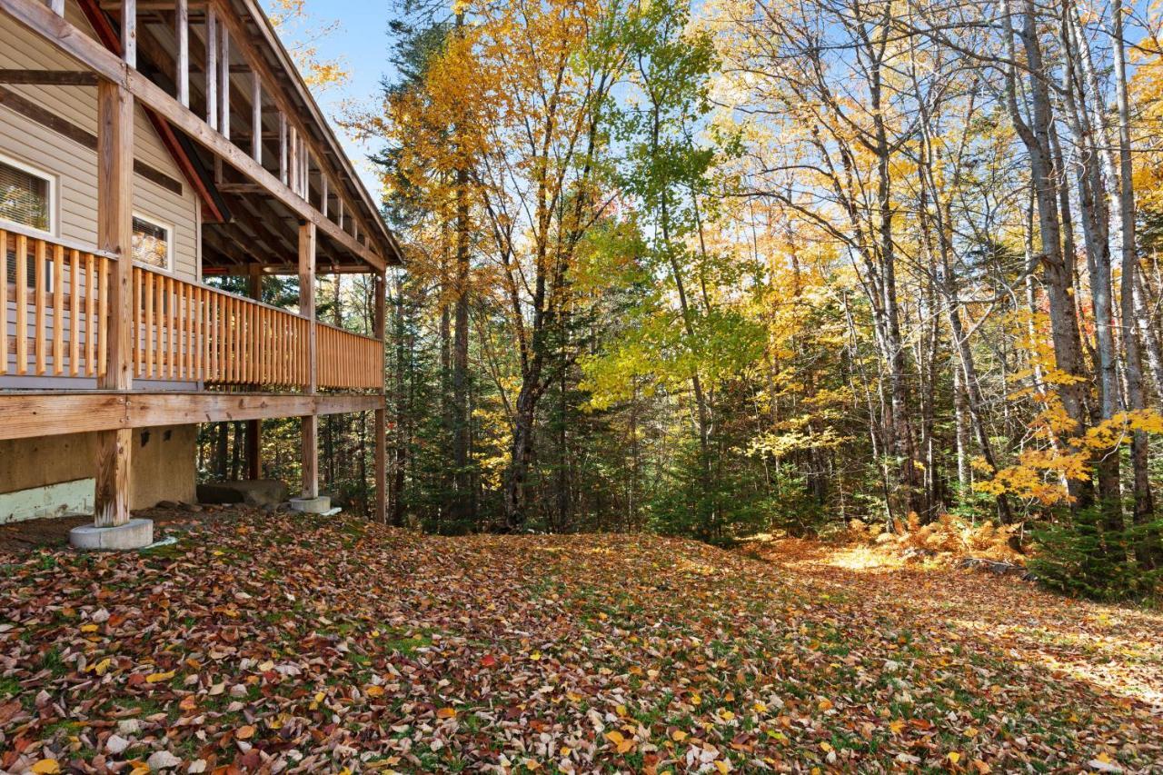 Lily'S Pad Villa Грийнвил Екстериор снимка